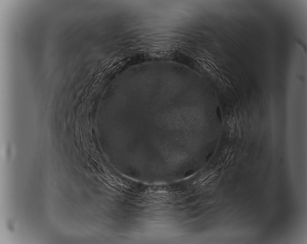 X0000100950817200806241501