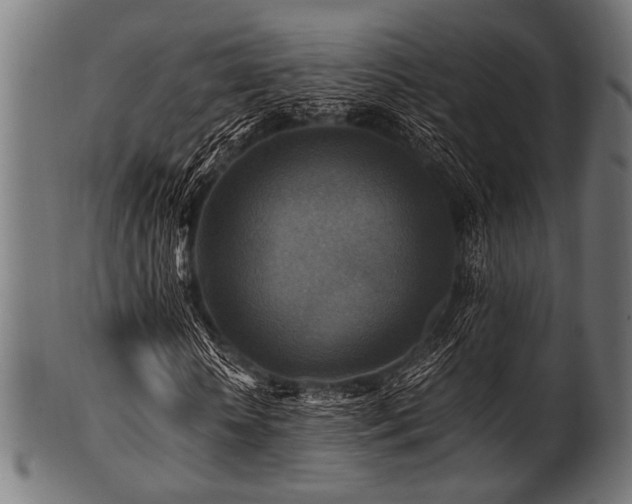 X0000100950818200806241501