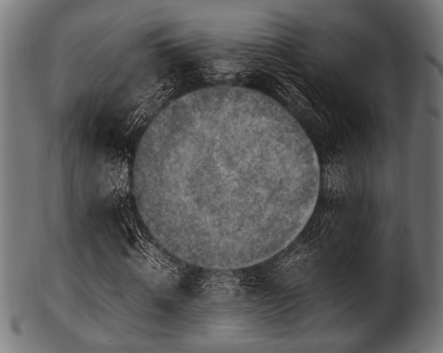 X0000100950820200806241501