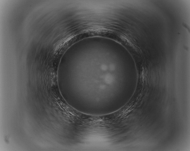 X0000100950822200806241501