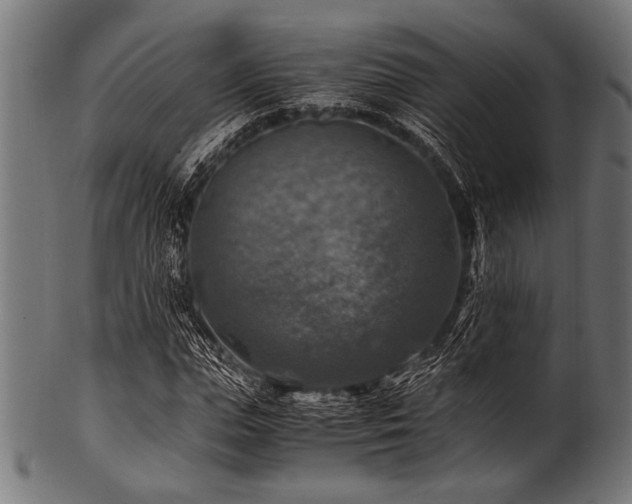 X0000100950823200806241501
