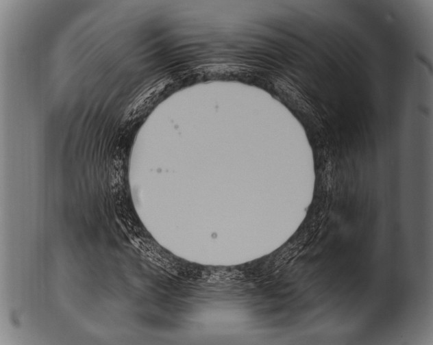 X0000100950824200806241501