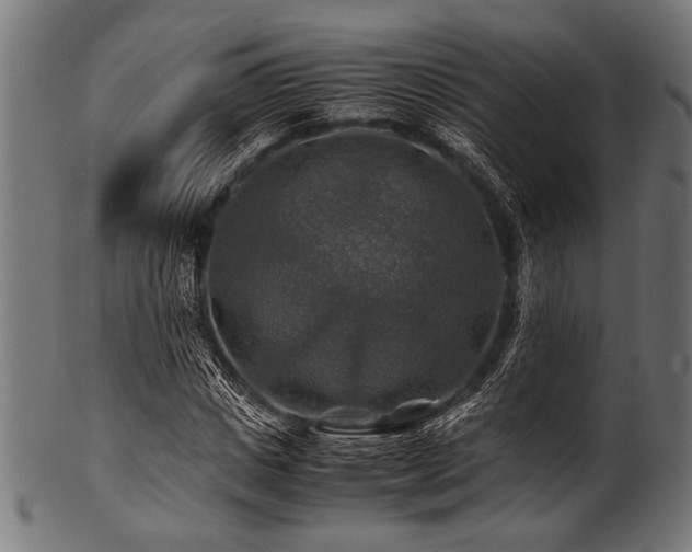 X0000100950825200806241501