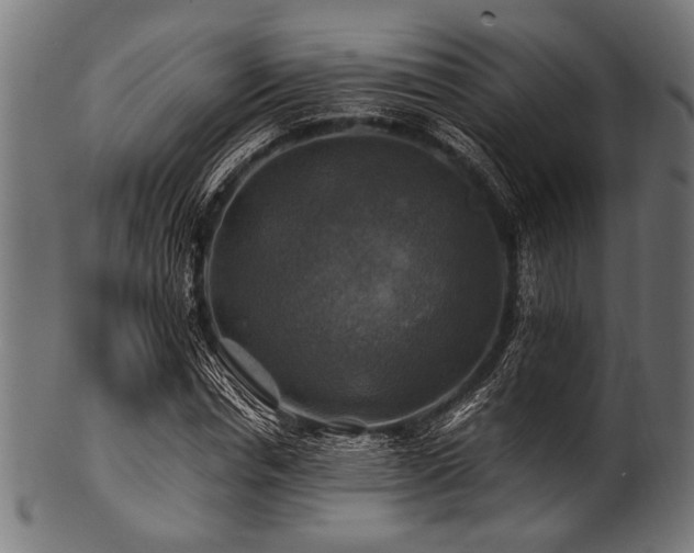 X0000100950826200806241501