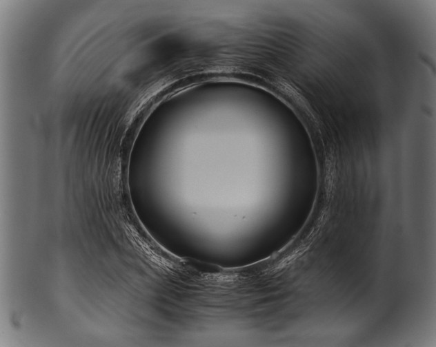 X0000100950831200806241501