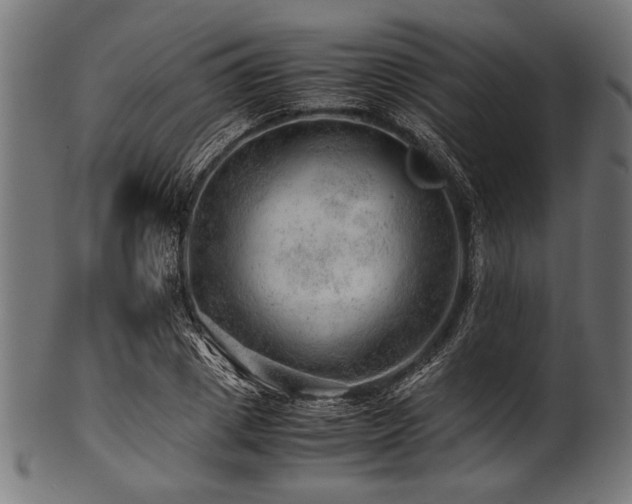 X0000100950833200806241501