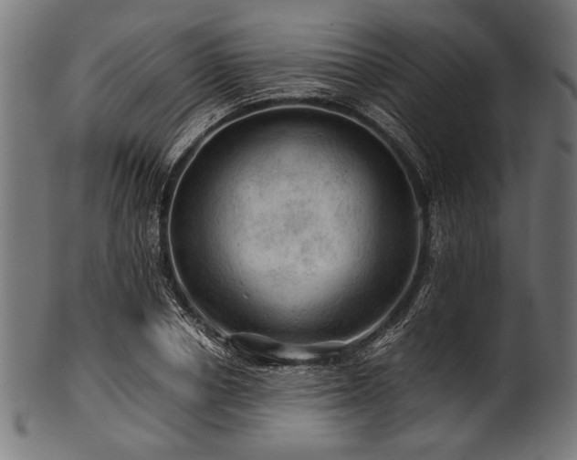 X0000100950834200806241501