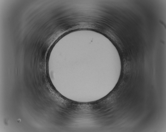 X0000100950836200806241501