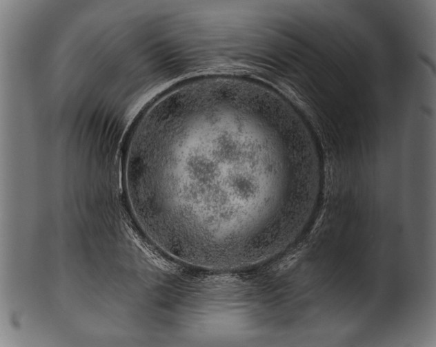 X0000100950838200806241501