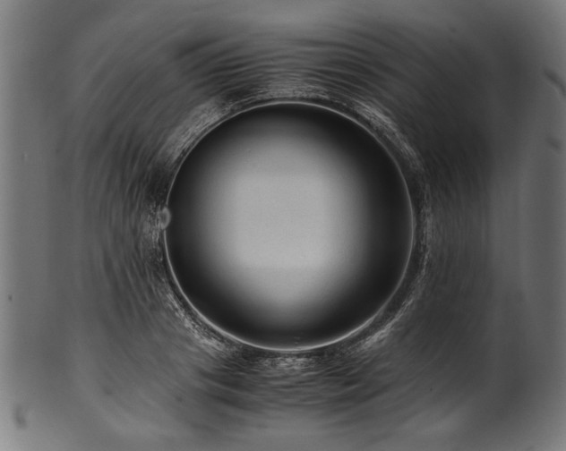 X0000100950841200806241501