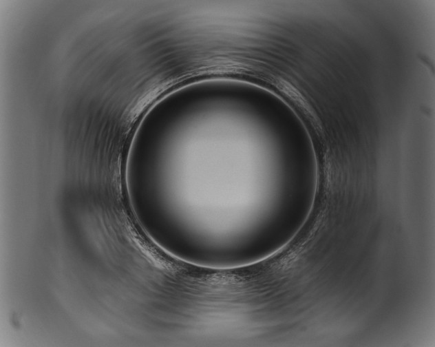 X0000100950842200806241501