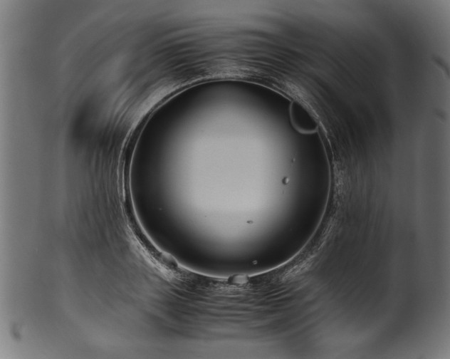 X0000100950843200806241501