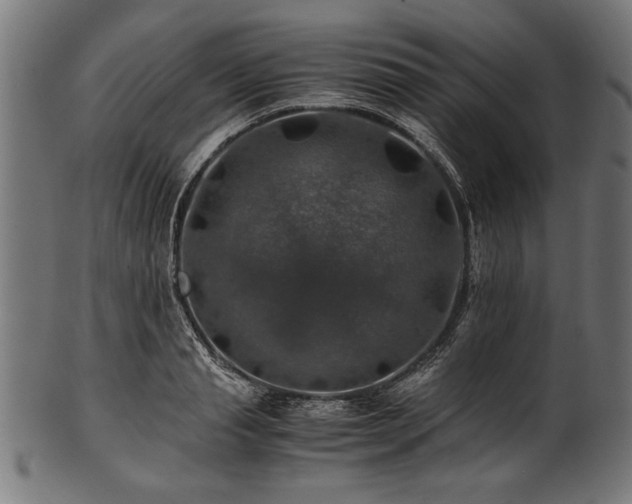X0000100950845200806241501