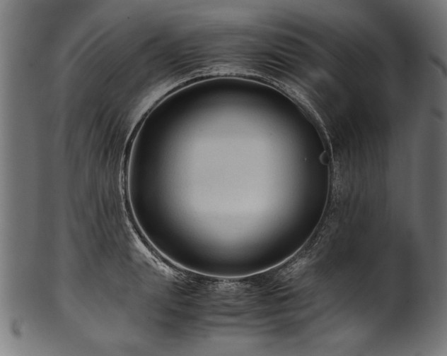 X0000100950847200806241501