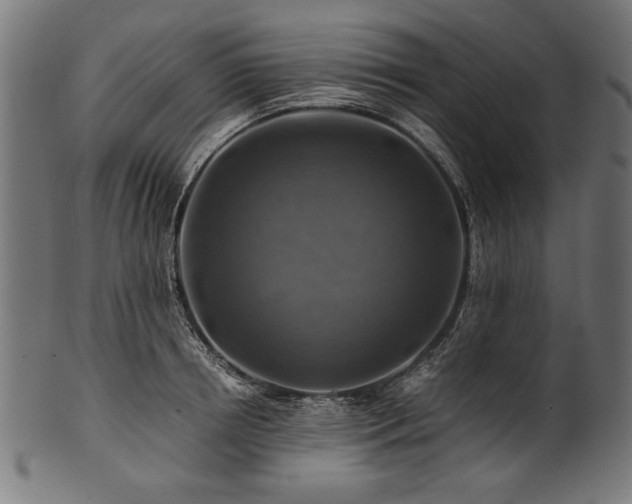 X0000100950850200806241501