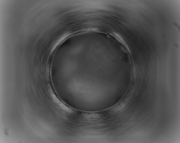 X0000100950851200806241501
