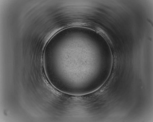 X0000100950852200806241501