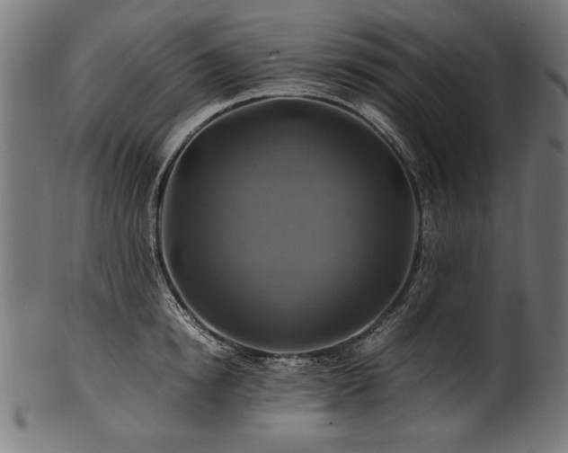 X0000100950854200806241501
