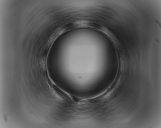 X0000100950857200806241501