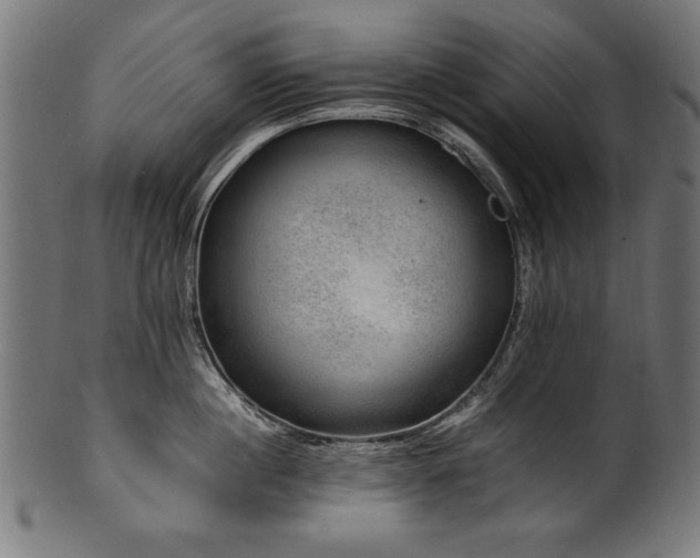 X0000100950860200806241502