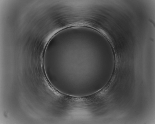 X0000100950862200806241502