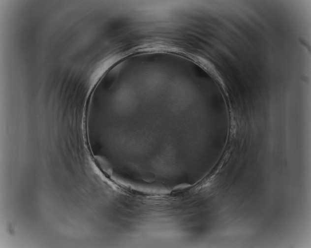 X0000100950863200806241502