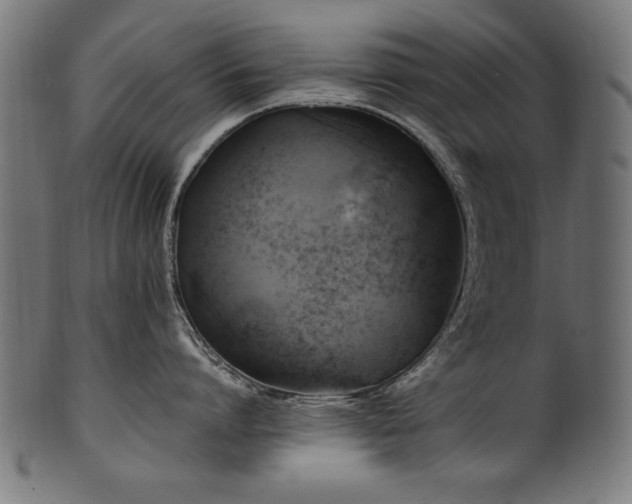 X0000100950864200806241502