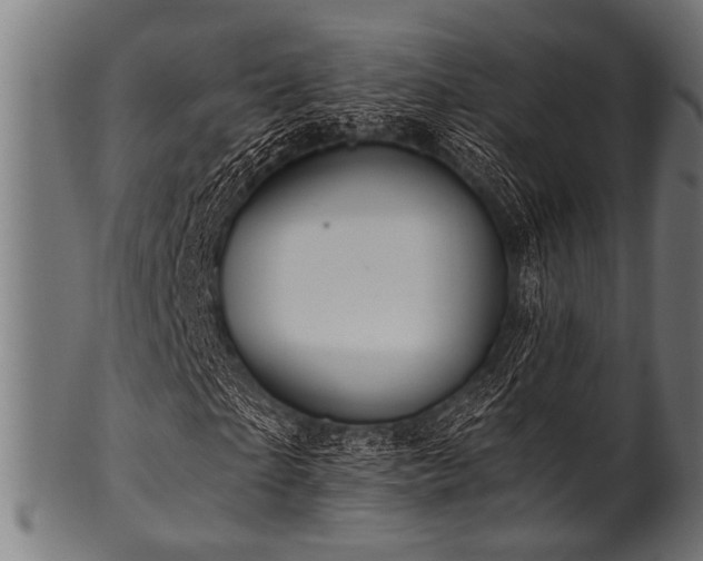 X0000100950865200806241501