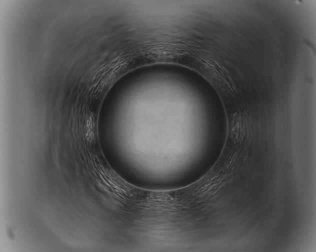 X0000100950866200806241501