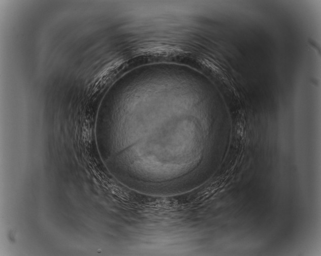 X0000100950869200806241501