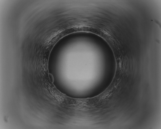 X0000100950870200806241501