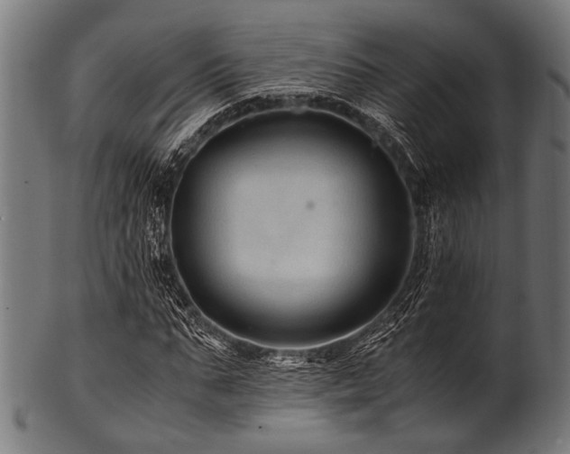 X0000100950871200806241501