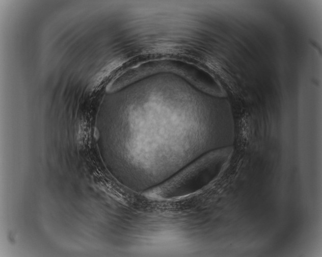 X0000100950872200806241501