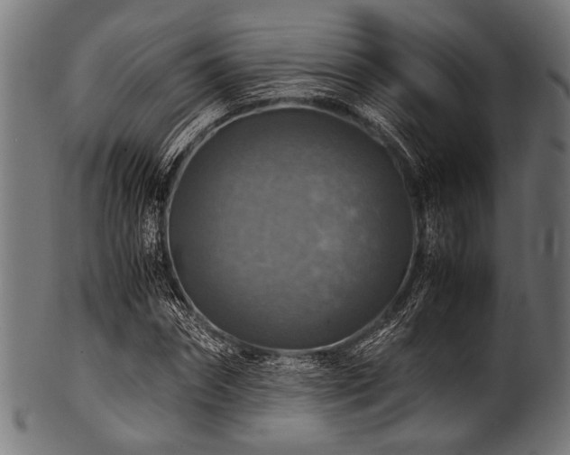 X0000100950874200806241501