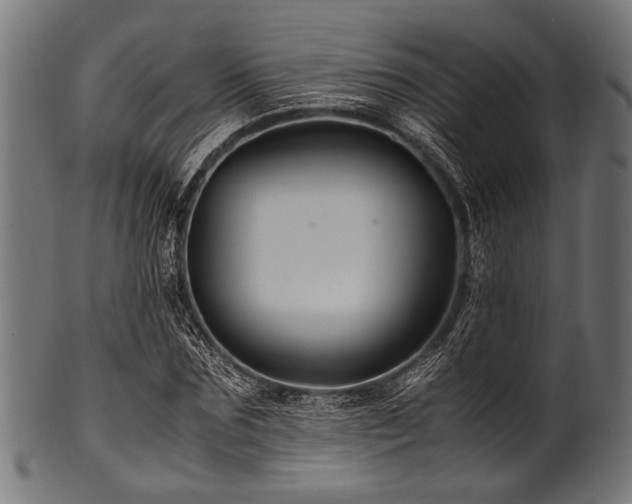 X0000100950875200806241501