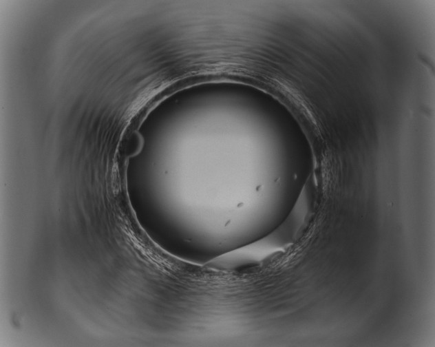 X0000100950876200806241501