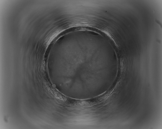 X0000100950879200806241501