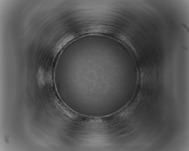 X0000100950882200806241501