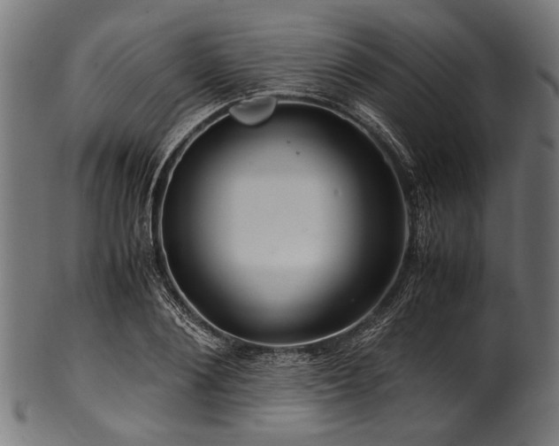 X0000100950884200806241501