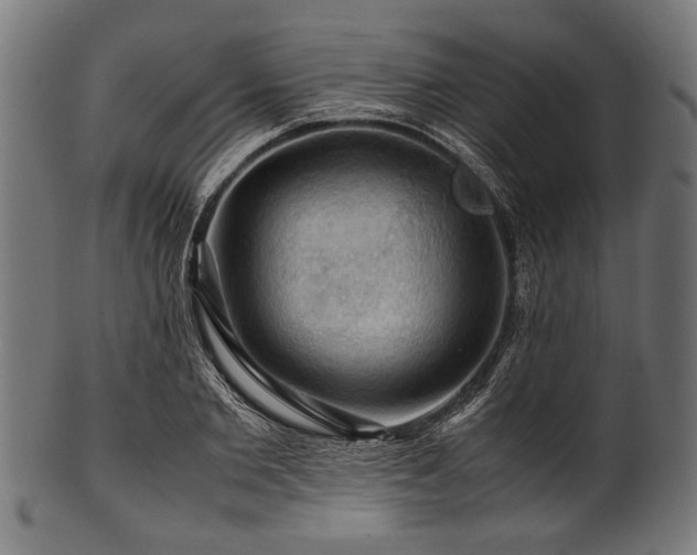 X0000100950885200806241501