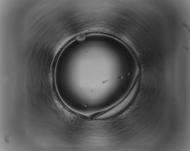 X0000100950888200806241501