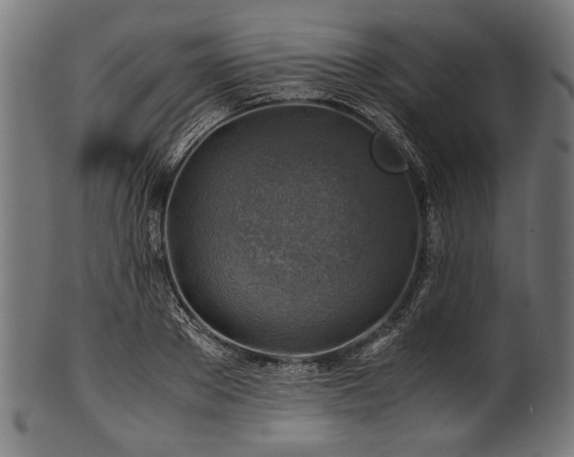 X0000100950889200806241501