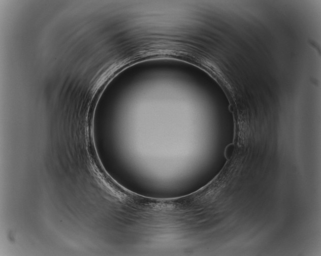 X0000100950890200806241501