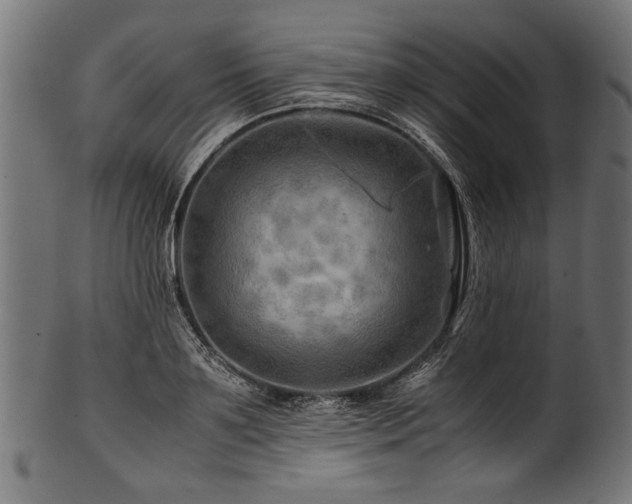 X0000100950891200806241500