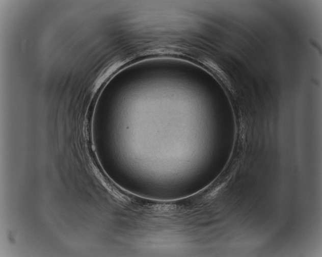 X0000100950893200806241500