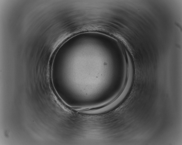 X0000100950894200806241500