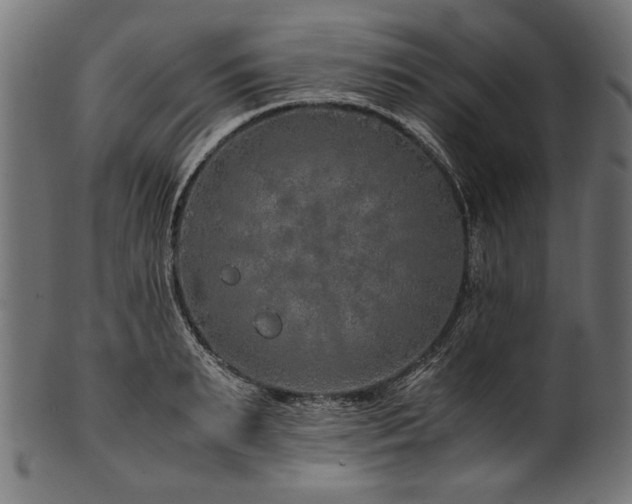 X0000100950895200806241500