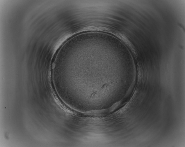 X0000100950896200806241500