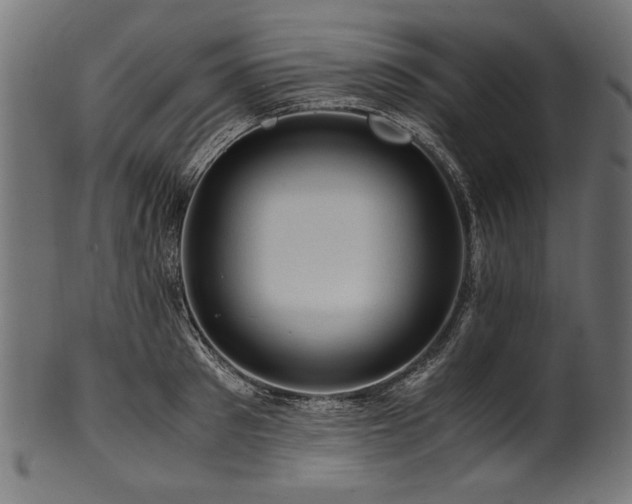 X0000100950897200806241500