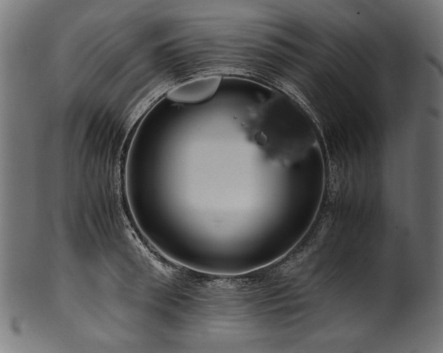 X0000100950898200806241500